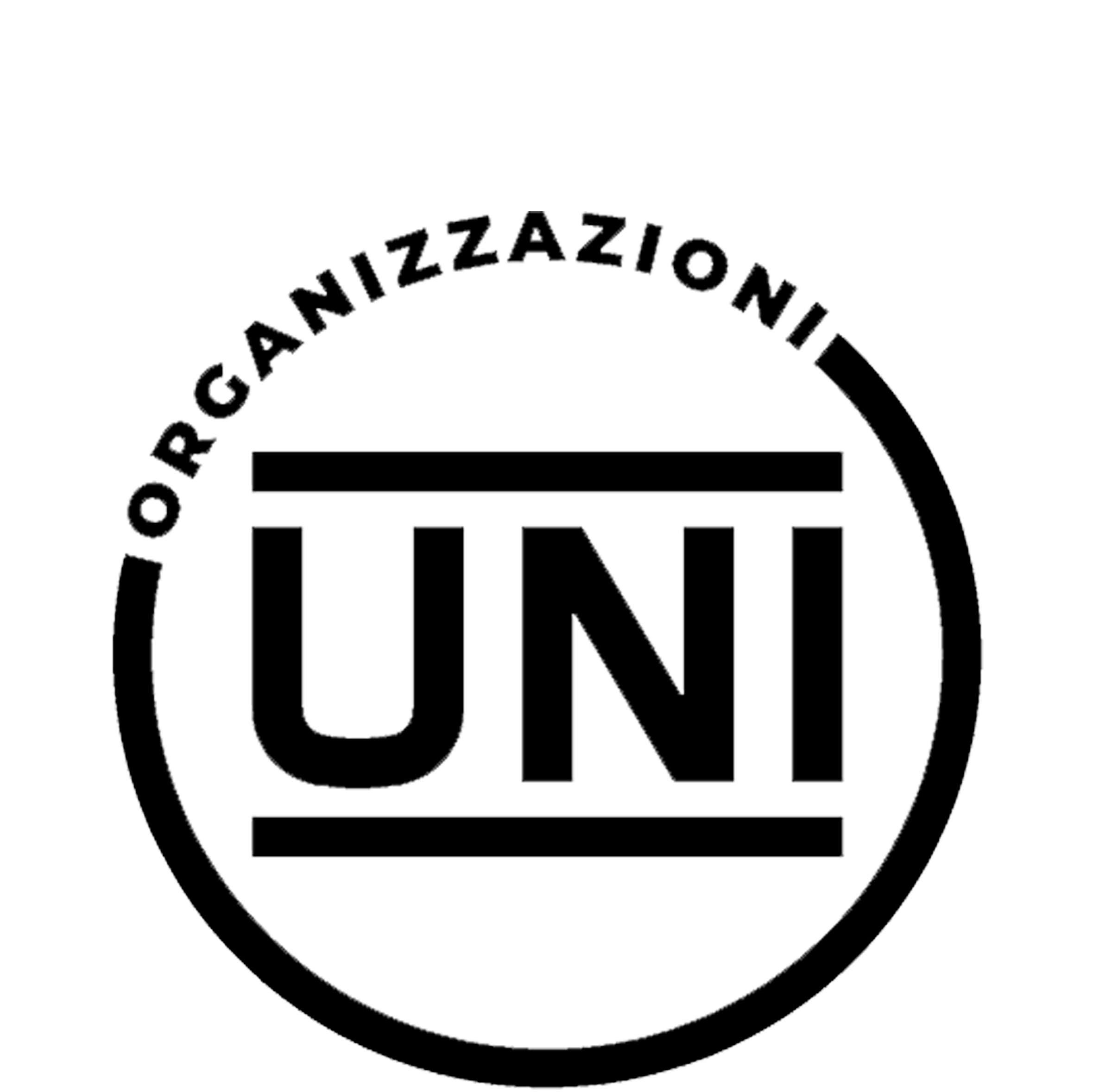 ISO 9001_Logo_margini_mod https://yulmoxervina.shop/wp-content/uploads/2025/07/ISO-9001_Logo_margini_mod.png